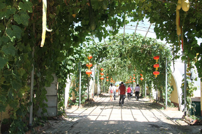 運(yùn)河古郡 渤海明珠 國(guó)際旅博會(huì)專刊聚焦生態(tài)園新篇章