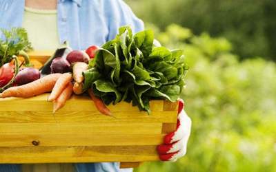 丹麥:北歐國家的有機農業&ldquo;童話&rdquo;